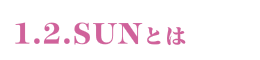 1.2.SUNとは